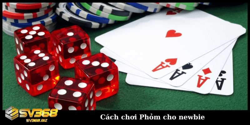 Cách chơi phỏm hiệu quả và nhanh thắng không phải ai cũng biết 5 Cách chơi Phỏm cho newbie
