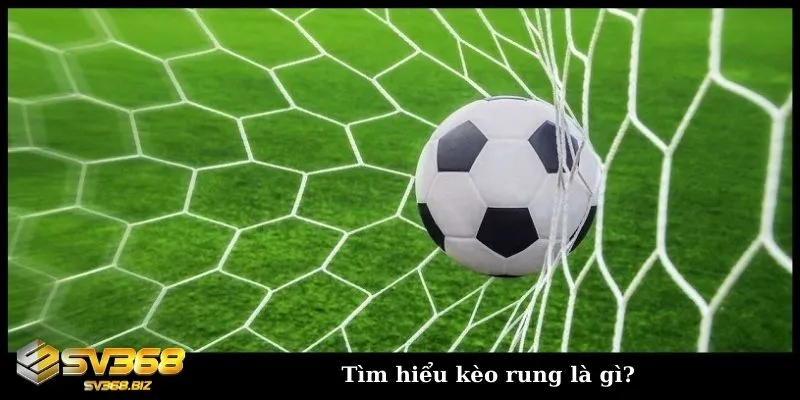 Tìm hiểu kèo rung bóng đá - Cách chơi và kinh nghiệm soi kèo 2 Tìm hiểu về kèo cược rung trong bóng đá