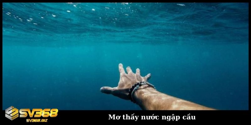 Mơ thấy nước ngập và những điềm báo không phải ai cũng biết 4 Mơ thấy nước ngập cầu