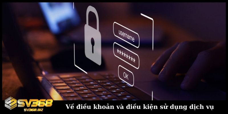 Về điều khoản và điều kiện sử dụng dịch vụ